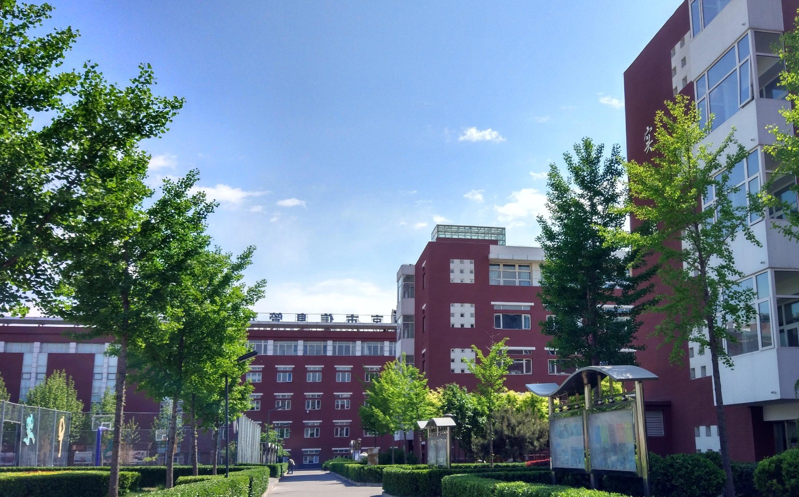 北京市信息管理学校2024年招生计划详解 计算机网络信息管理与服务专业